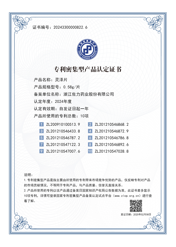 2025年2月8日，灵泽片-国家专利密集型产品.png